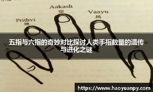 芒果体育