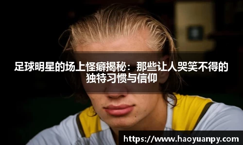 mgty芒果体育